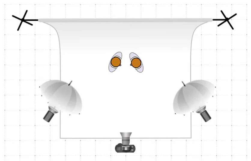 Elsa Dorfman Portrait - lighting