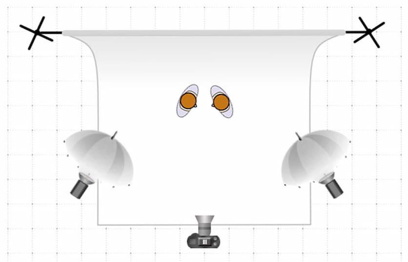 Elsa Dorfman Portrait - lighting